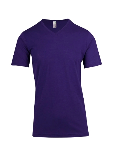 Picture of RAMO, Mens V-Neck Tee